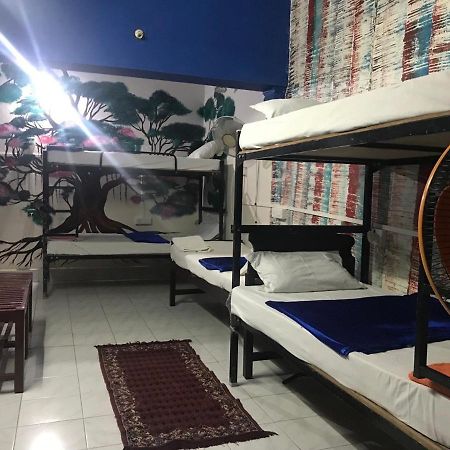 Brisbane Lodge & Hostel Kochi Екстериор снимка
